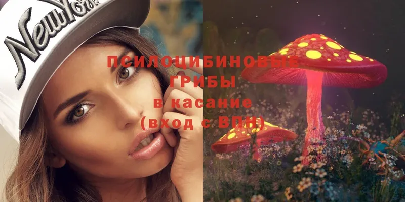 Галлюциногенные грибы Magic Shrooms  ссылка на мегу зеркало  Грозный 